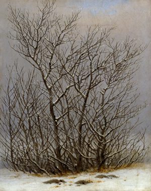 Caspar David Friedrich „Gebüsch im Schnee“ 25.5 x 31 cm
