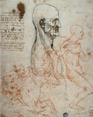Leonardo da Vinci „Proportionsschema “ 22 x 28 cm