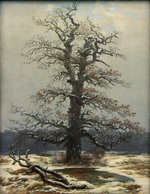 Caspar David Friedrich „Eiche im Schnee“  34 x 44 cm