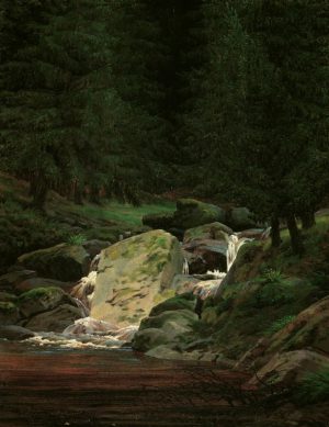 Caspar David Friedrich „Tannenwald mit Wasserfall“  35 x 44 cm