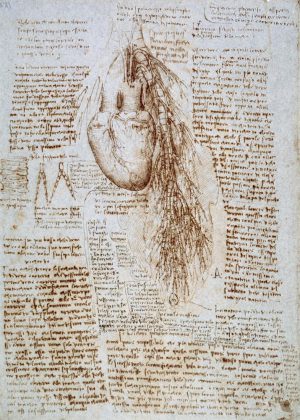 Leonardo da Vinci „Anatomiestudie“ 203 x 288 cm