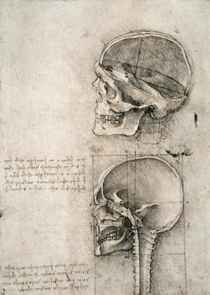 Leonardo da Vinci „Anatomiestudie“ 134 x 188 cm