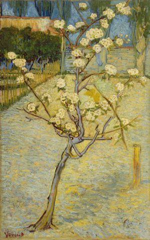 Vincent van Gogh “Birnenbaum in Bluete” 73 x 46 cm