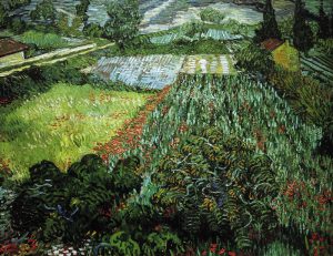 Vincent van Gogh “Mohnfeld” (Feld mit Mohnblumen), 71 x 91 cm
