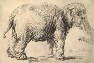 Rembrandt “Elephant“ 340 x  230 cm
