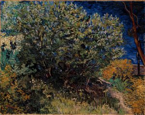 Vincent van Gogh “Fliederstrauch” 73 x 92 cm