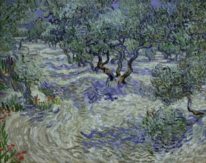 Vincent van Gogh “Olivenhain” 73 x 93 cm