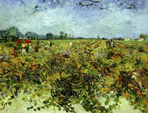Vincent van Gogh “Der gruene Weingarten” 72 x 92 cm