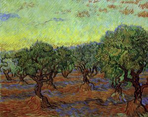 Vincent van Gogh “Olivenhain” 74 x 93 cm