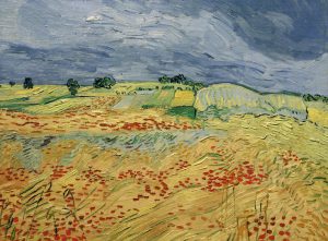 Vincent van Gogh “Felder 50 x 65 cm