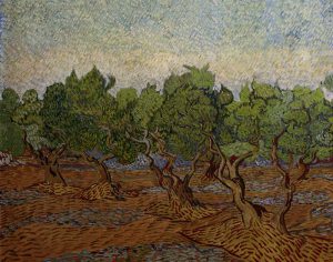 Vincent van Gogh “Olivenhain” 73 x 92 cm