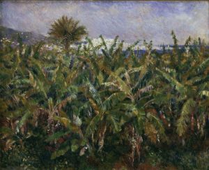 Auguste Renoir „Bananenbepflanzung“ 63 x 51 cm
