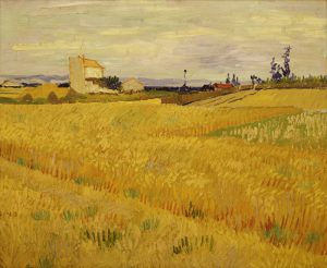 Vincent van Gogh “Weizenfeld” 50 x 61 cm