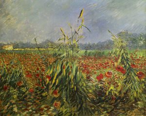 Vincent van Gogh “Gruene Kornhalme” 54 x 65 cm