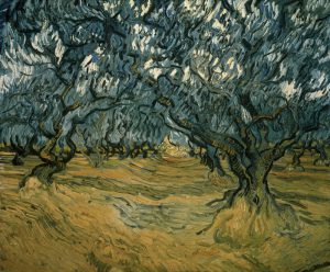 Vincent van Gogh “Olivenbaeume”, 53,5 x 64,5 cm