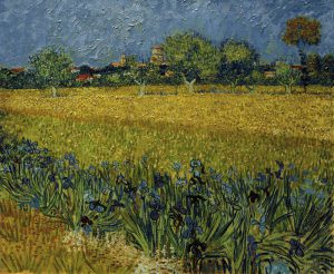 Vincent van Gogh “Blick auf Arles mit Irisblueten im Vordergrund” 54 x 65 cm
