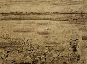 Vincent van Gogh “Sumpflandschaft mit Wasserlilien”, 23,5 x 31,4 cm