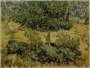Vincent van Gogh “Baum und Straeucher im Garten der Heilanstalt” (Garten der Heilanstalt Saint-Paul-de-Mausole in Saint-Rémy-de-Provence) 46,9 x 61,9 cm