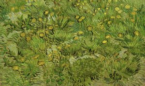 Vincent van Gogh “Les pissenlits” (Loewenzahn) 35,5 x 57 cm