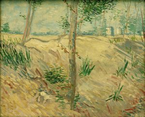 Vincent van Gogh “Baumstaemme im Sonnenlicht”, 37,5 x 46 cm