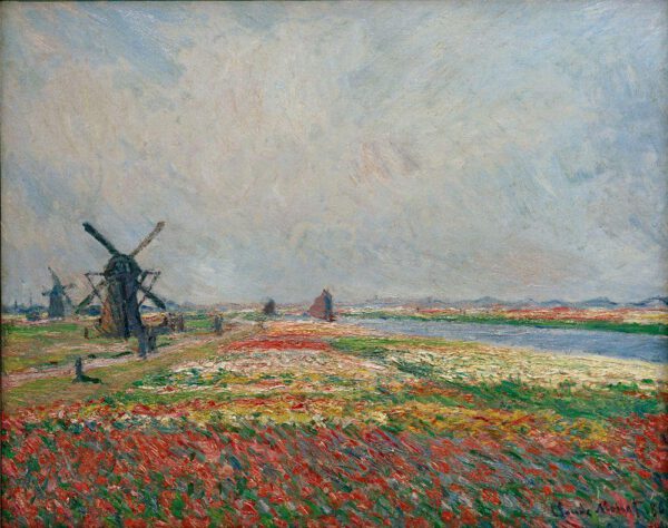 Claude Monet "Blumenfelder und Windmühlen bei Leiden" 81 x 65 cm
