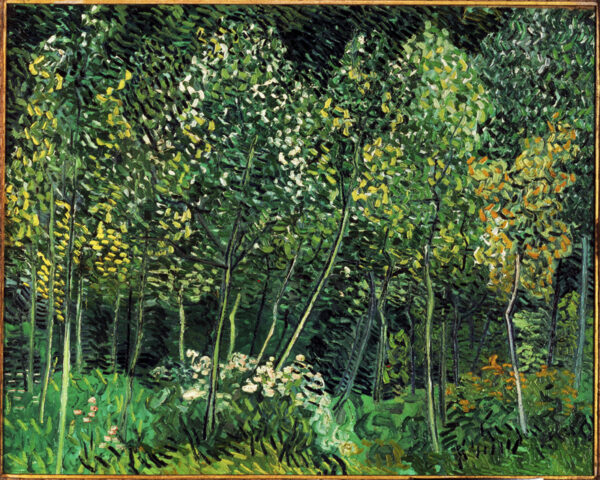 Vincent van Gogh “Waeldchen” 73 x 92 cm