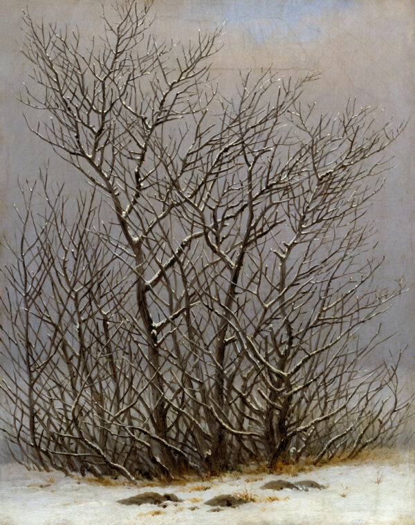 Caspar David Friedrich "Gebüsch im Schnee" 25.5 x 31 cm