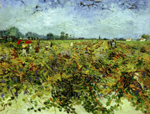 Vincent van Gogh “Der gruene Weingarten” 72 x 92 cm