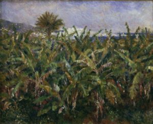 Auguste Renoir "Bananenbepflanzung" 63 x 51 cm