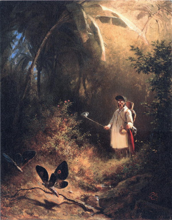 Carl Spitzweg “Der Schmetterlingsfänger” 55 x 70 cm